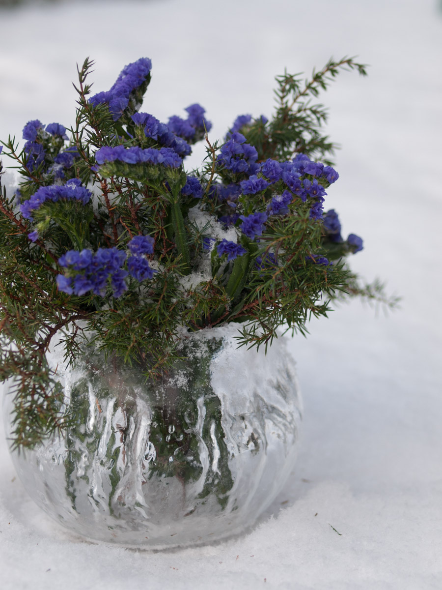 isvase-blomster