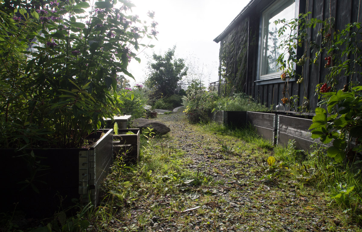 ugress-1