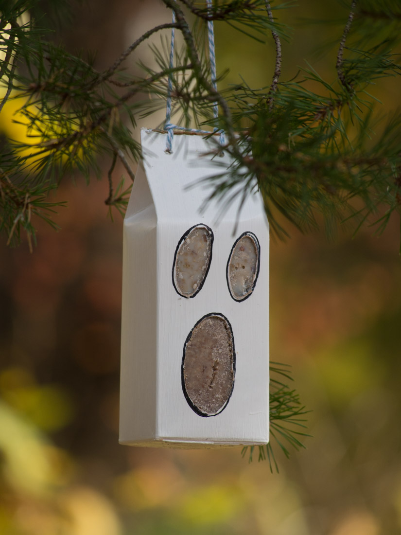 fuglemater-diy-halloween