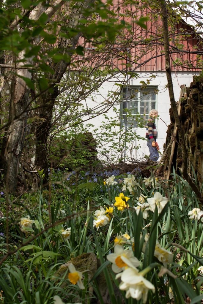 Trädgårdstider﻿ 2019, bilderettighet svt.