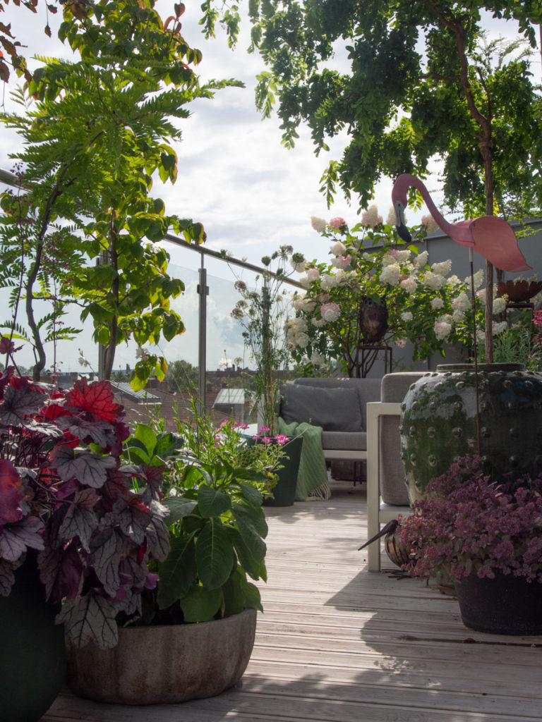 Takterrasse med mange krukker og planter, grønnmalte og svartmalte krukker sammen med umalte krukker